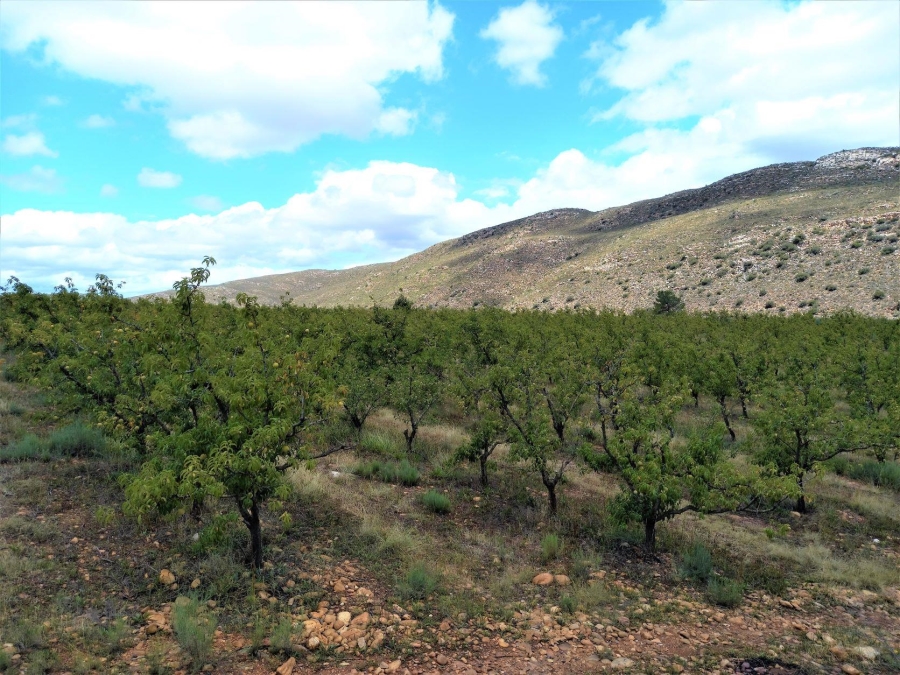 0 Bedroom Property for Sale in Uniondale Rural Western Cape